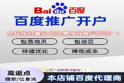 百度优化推广全解析：从零到一的流量增长